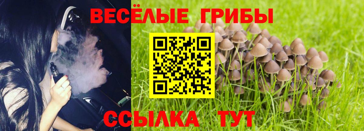 Гагарин  дарнет шоп  Вход с VPN  Псилоцибиновые грибы мухоморы 